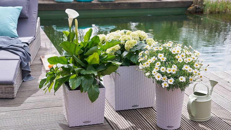 Die Pflanzgefäße der Cottage-Serie von LECHUZA vereinen Naturverbundenheit mit einer besonderen Aufgeräumtheit und strahlen dennoch ein einladendes Flair aus. 