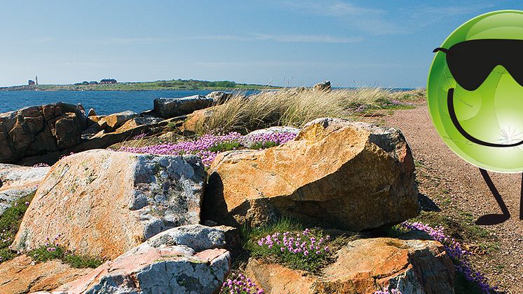 Turista Hemma 10 maj – ett återkommande evenemang för halmstadborna