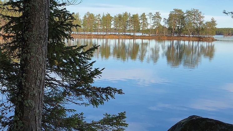 KSLAT 4-2019 Ekosystemtjänster. Om äpple och päron i skogen