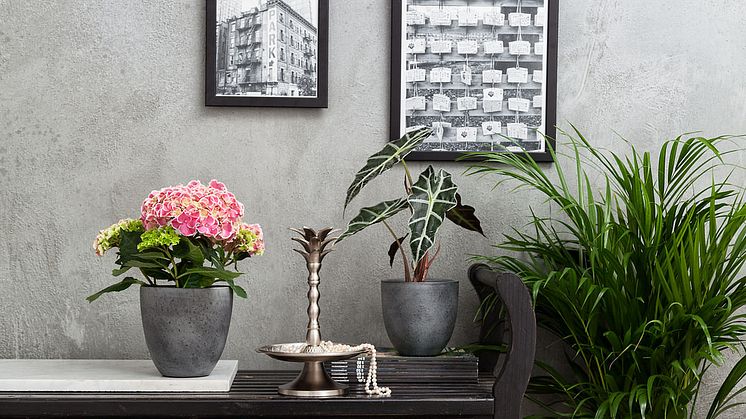 Höstens inredningstrender enligt Blomsterlandet