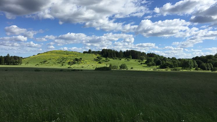 Granholmstoppen är en konstgjord kulle med utsikt över Järvafältet. Här ligger prisbelönta aktivitetsparken Järva DiscGolfPark, och här vill Stockholms stad anlägga en begravningsplats.