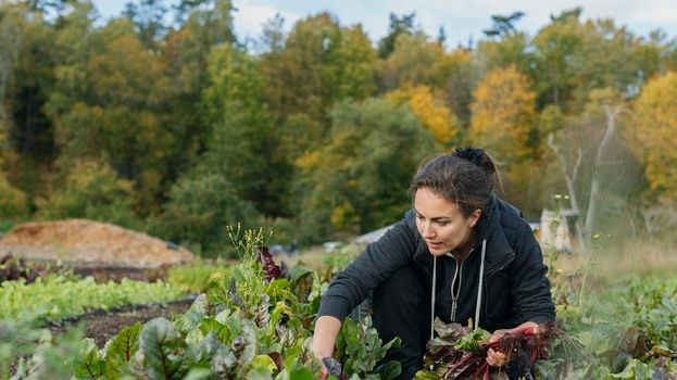 Åsa Domeij leder ny plattform för omställning till cirkulär ekonomi