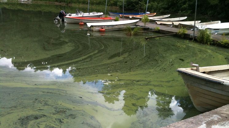 34 miljoner till VillageWaters – samarbete mellan sex länder runt Östersjön