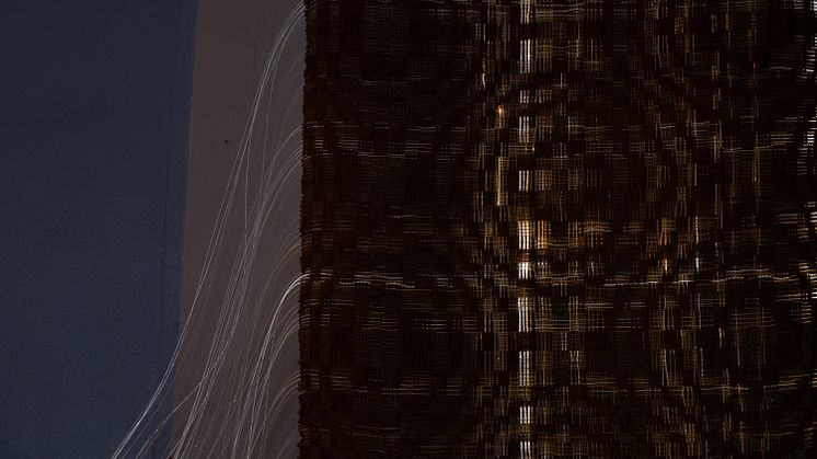 Honey Biba Beckerlee, Swarm Intelligence, 2021 