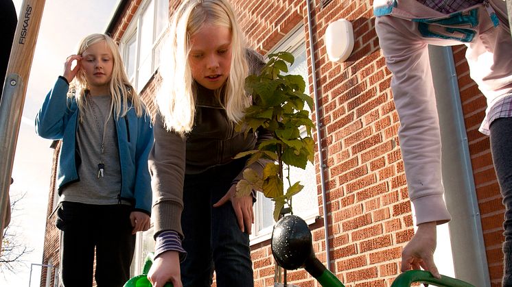 Gröna skolgårdar