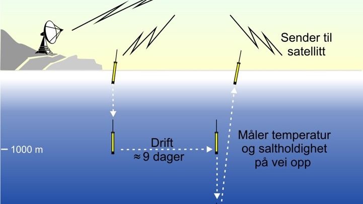 Figur: Ti dagers syklusen til en Argo-bøye