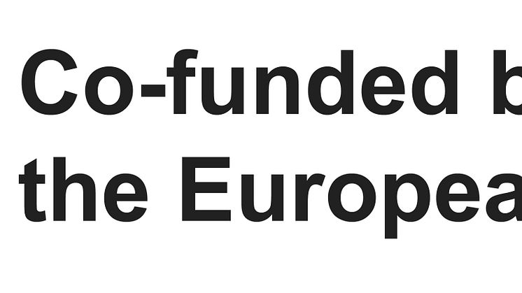 EN Co-funded by the EU_BLACK Outline.jpg