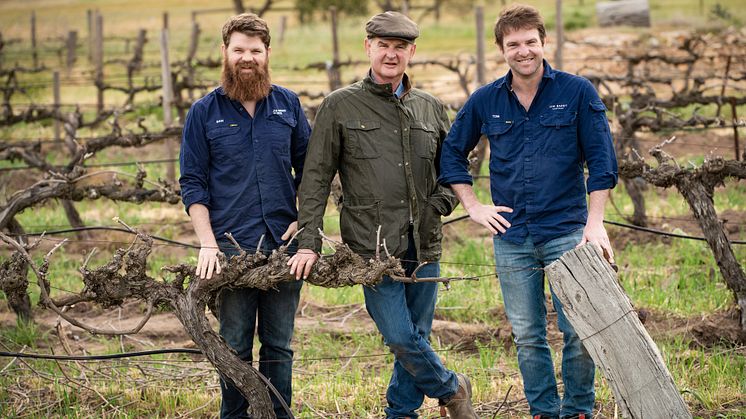 Peter, Tom and Sam Barry Armagh Vineyard 3
