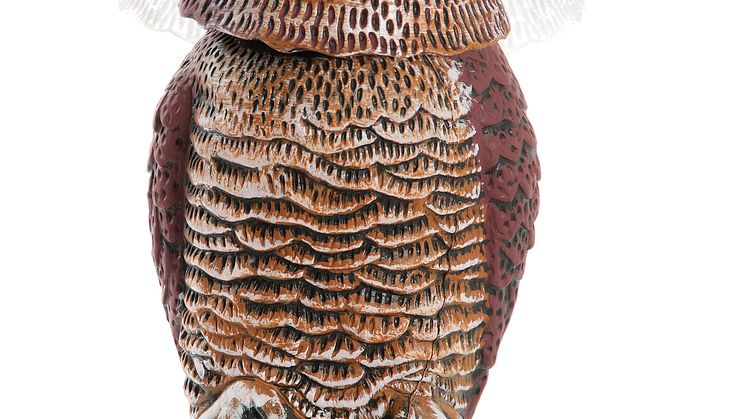 22325_GuardOwl_wobble.jpg