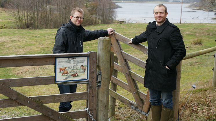Kärlingesunds naturreservat ska få mer betesmarker
