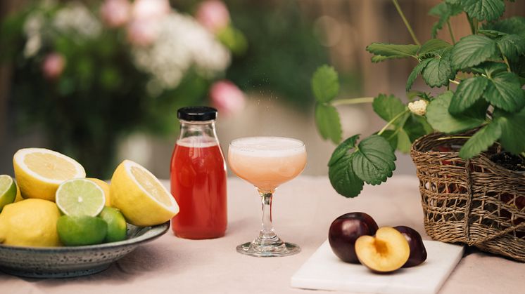 Sodastream_plommon_&_verjus
