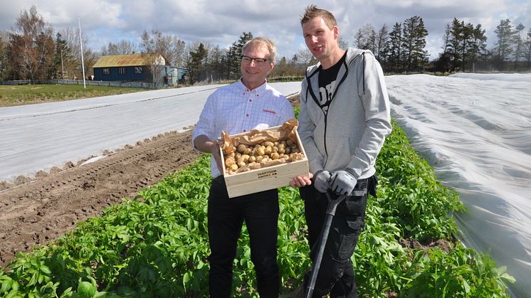 Potatisodlare Ted Ivarsson tillsammans med Hemköps representant Marcus Regnander 