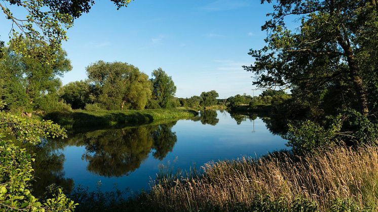 “Time for Nature”: Veolia unterstützt den internationalen Tag der Umwelt 2020 mit verschiedenen Aktionen