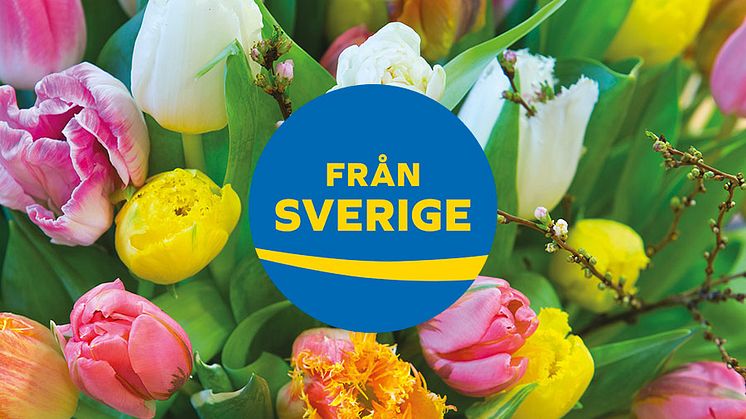 Tulpanens dag firas den 15 januari 2018 på Centralstationen i Stockholm. Arrangörer är ursprungsmärkningen Från Sverige och Blomsterfrämjandet.