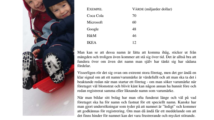 Stora värden att skydda i företagets namn, varumärke