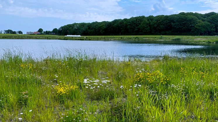 Ödåkra sjö_E7457 blåare