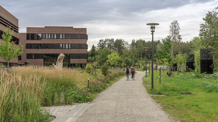 Campus Ås - Gangvei