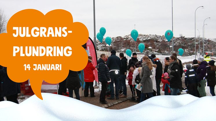 Välkommen till vår årliga julgransplundring 14 januari