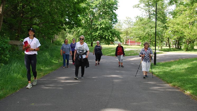 Seniorpromenader med styrkepaus som efter hand utökades med minigolf, fika och skräpplockning blev en succé.