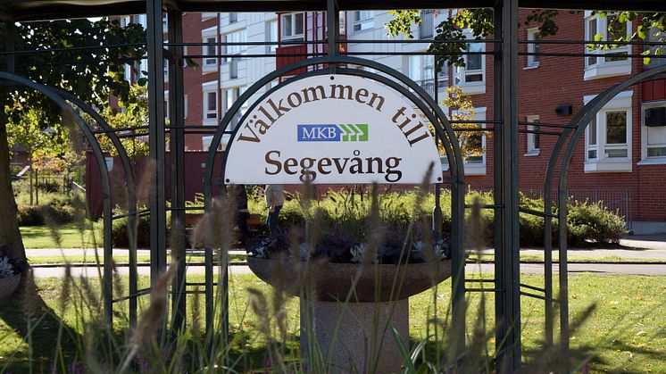 Inspireras till föreningsengagemang på Segedagen