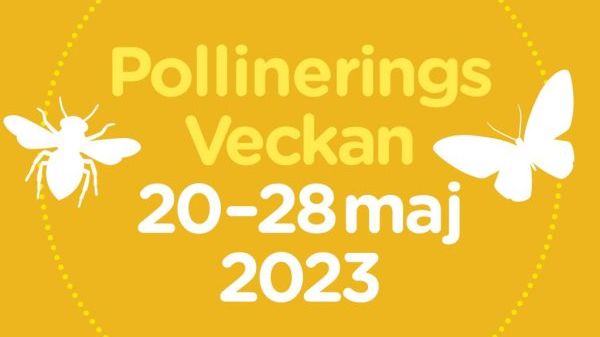 Pollineringsveckan invigs med SURR