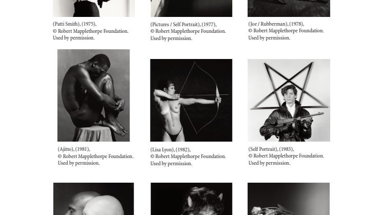 Pressbilder Robert Mapplethorpe