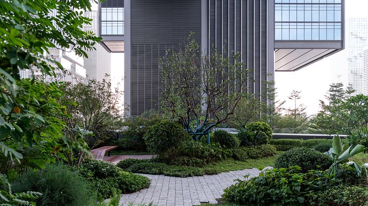 Podium Roof Garden 2