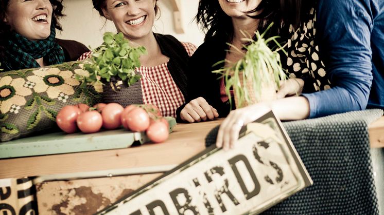 Kitchen life in focus in The Odd Nest