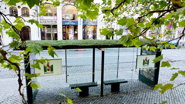 Sedumtak på väderskydd Malmö