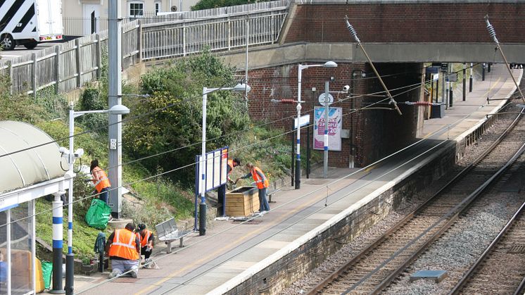 Royston station gardening