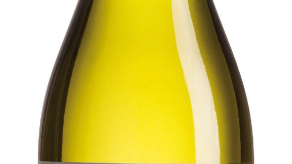 Castillo de Molina Reserva Chardonnay