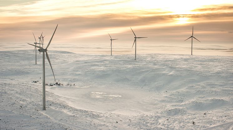 Vindkraft
