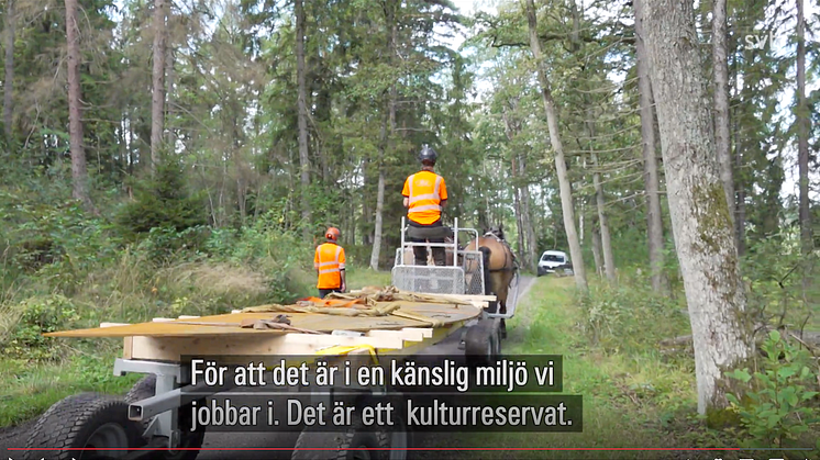 Begravningsprojekt gröntvättades i TV