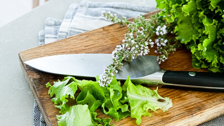 HR-Silestone Poblenou som bönkskiva hos Lisa Eisenman (1)