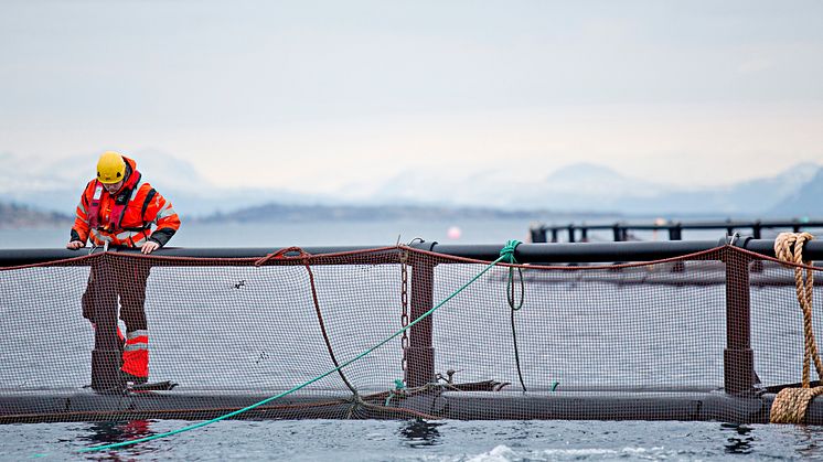 Cermaq Norway - sjøanlegg i Nordland