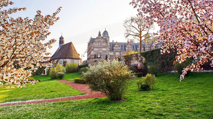 Schloss Hämelschenburg_Kirschblüte.jpg