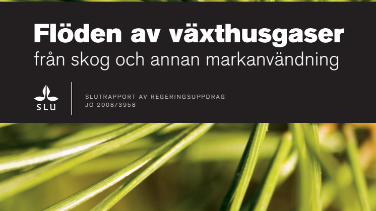 Flöden av växthusgaser från skog och annan markanvändning