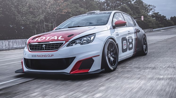 PEUGEOT 308 Racing Cup: Skabt til race!