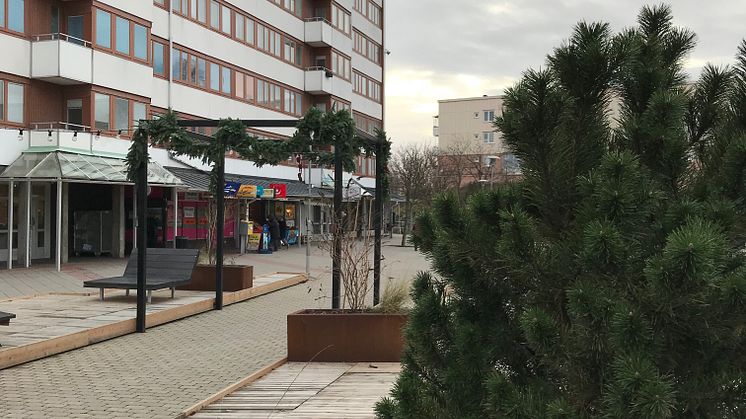 Friskväderstorget