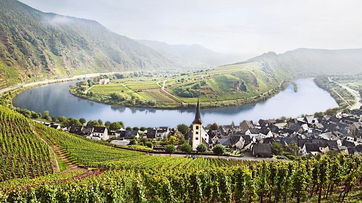 Bremm: Moselschleife in der Weinregion Mosel