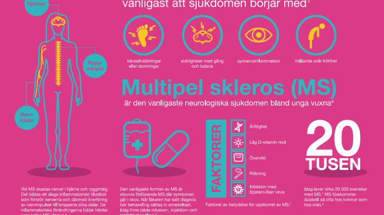 Infografik MS