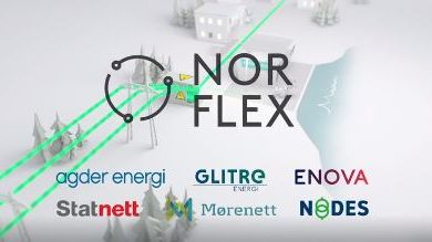 Norflex