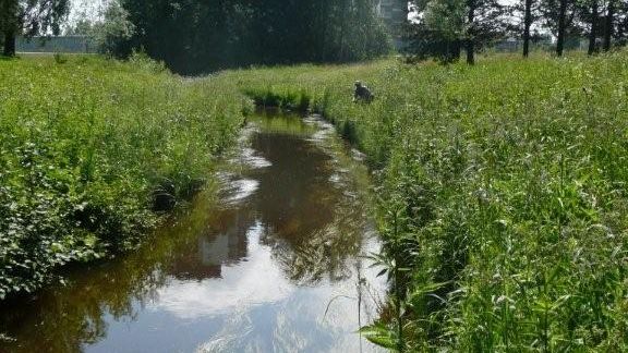 Enklare att fiska i Umeälven