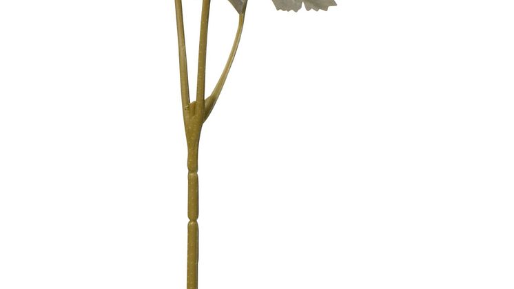 NYHET! Ranunculus 60 cm Purple Artificial material 2,99 EUR.jpg