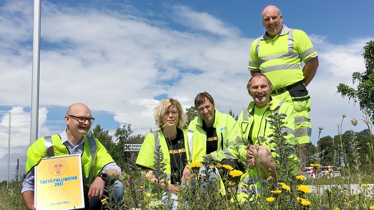 Årets Pollinatör 2017: Trafikverket på Gotland