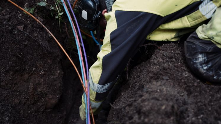 Fiber rollout