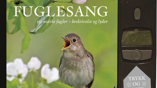 Fuglesang gjør eventyrlig suksess