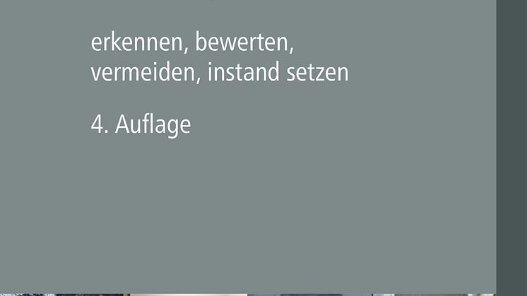Typische Bauschäden im Bild, 4. Auflage (2D/tif) 