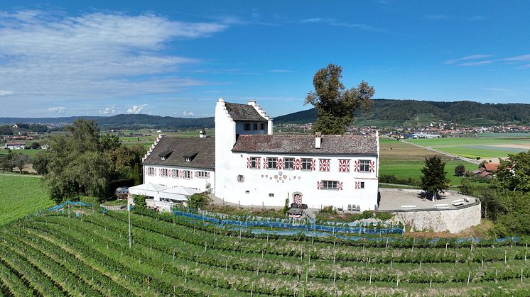 Schloss Schwandegg