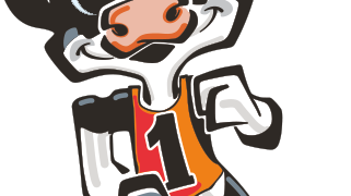 Kalvin springer